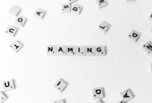 unclear names numeric identifiers
