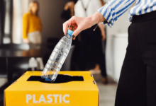 Local recycling searches: Why More People Are Choosing Nearby Recycling Solutions