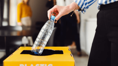 Local recycling searches: Why More People Are Choosing Nearby Recycling Solutions