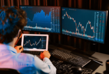 Essential Features That Support Confident Participation in Global Markets