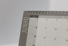 dikica kvanec s daily schedule
