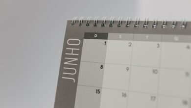 dikica kvanec s daily schedule